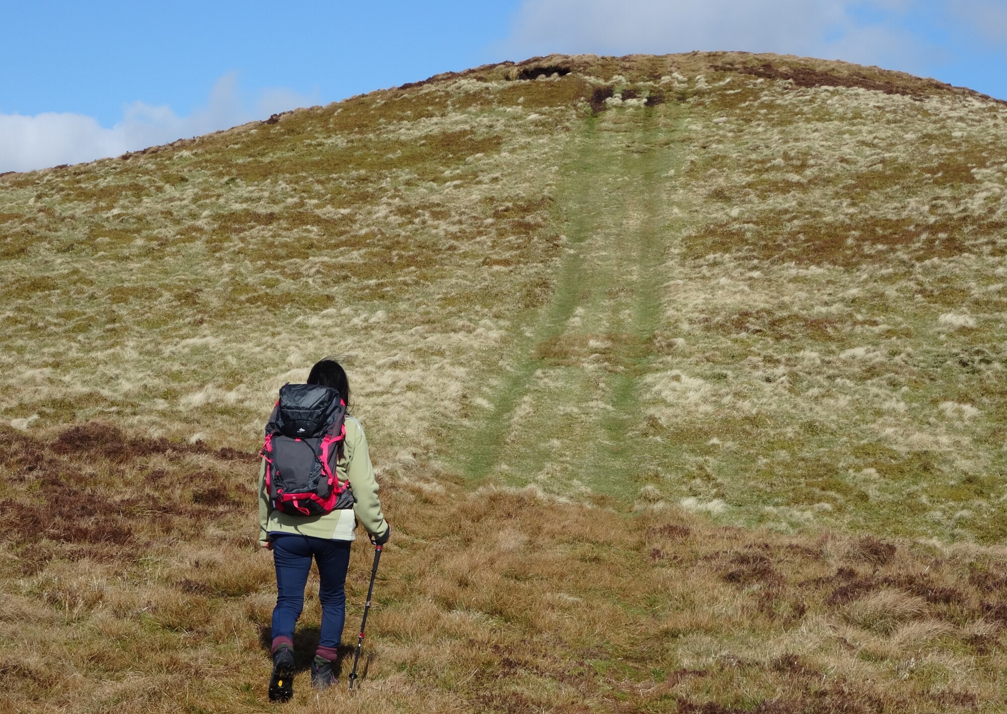 RachelSeabrook.net | Wild Walking | Ponterwyd and Pen Dihewyd | pic28
